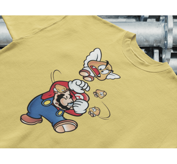 Mario Paragoomba Attack Mario Paragoomba Attack